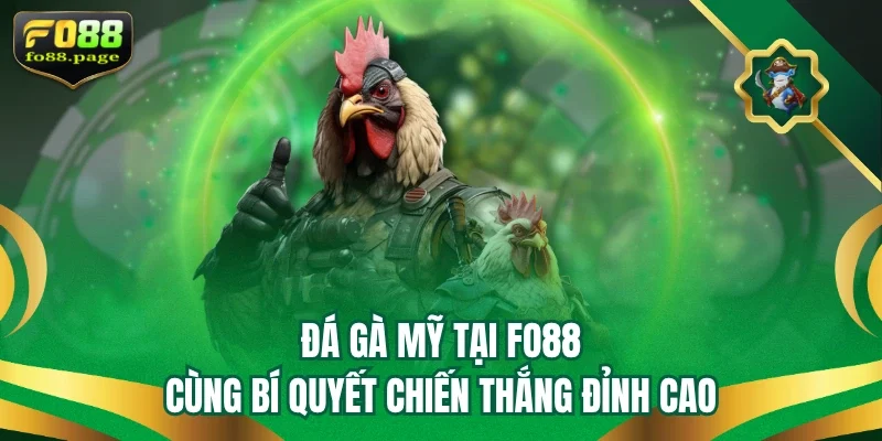 Đá gà Mỹ Tại Fo88 Cùng Bí Quyết Chiến Thắng Đỉnh Cao
